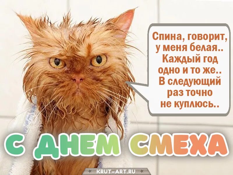 С 1 апреля котики. 1 Апреля коты. С первым апреля котик. День смеха поздравления прикольные. Смех дураков