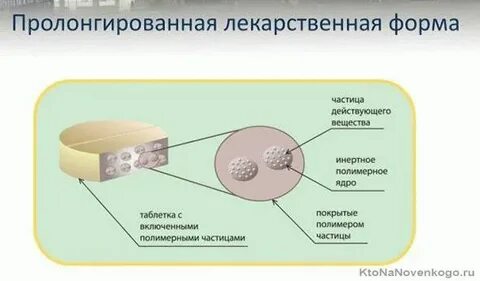 Пролонгированный год обучения