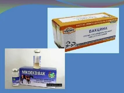 Инструкция вакцины против лептоспироза