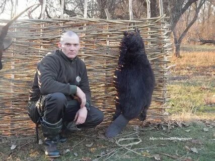 Бобр бай работа