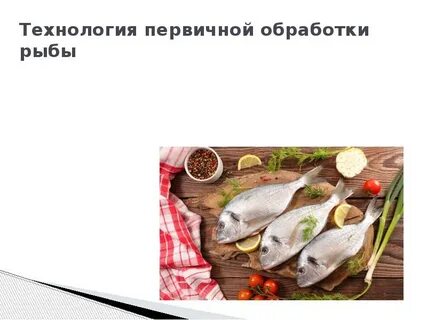 Технология рыбы