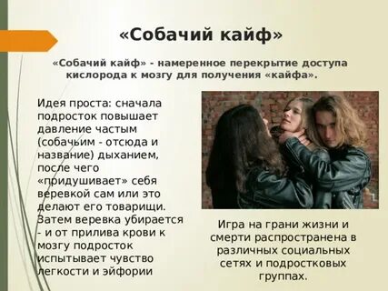 Что за игра собачий кайф