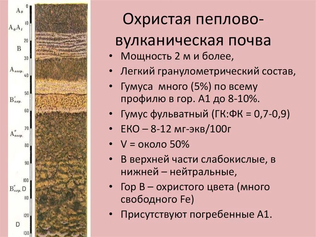 Почвенный профиль вулканическая пепловая почва. Вулканические Лесные почвы. Охристые вулканические почвы. Вулканические почвы характеристика. Природные зоны по степени плодородия