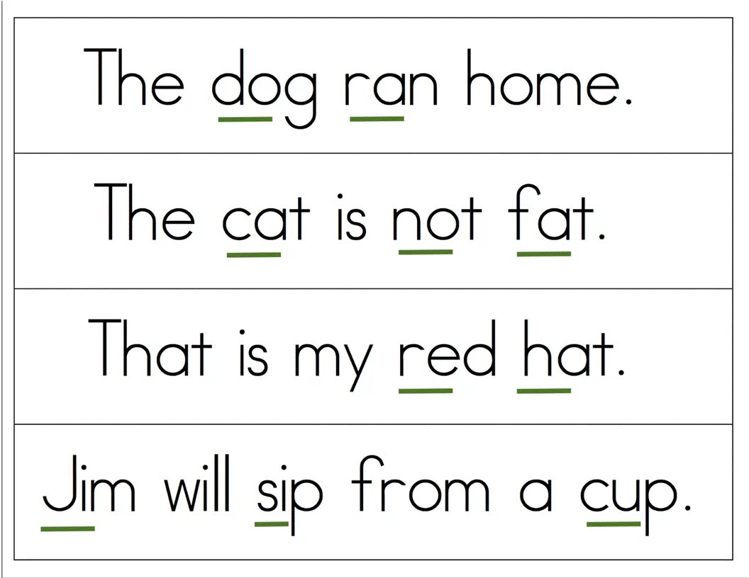 You have to learn these words. Cvc слова в английском языке. cvc words sentences. phonics sentences. short sentences for kids to read.