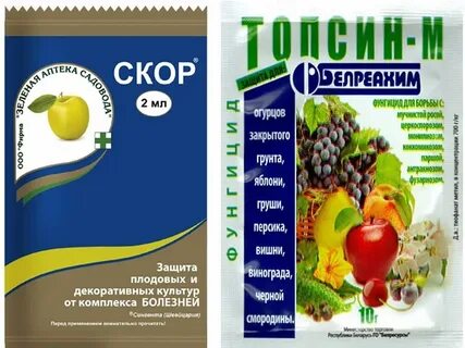 Препарат скор для клубники