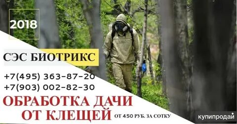 Расписание автобусов сэс ступино