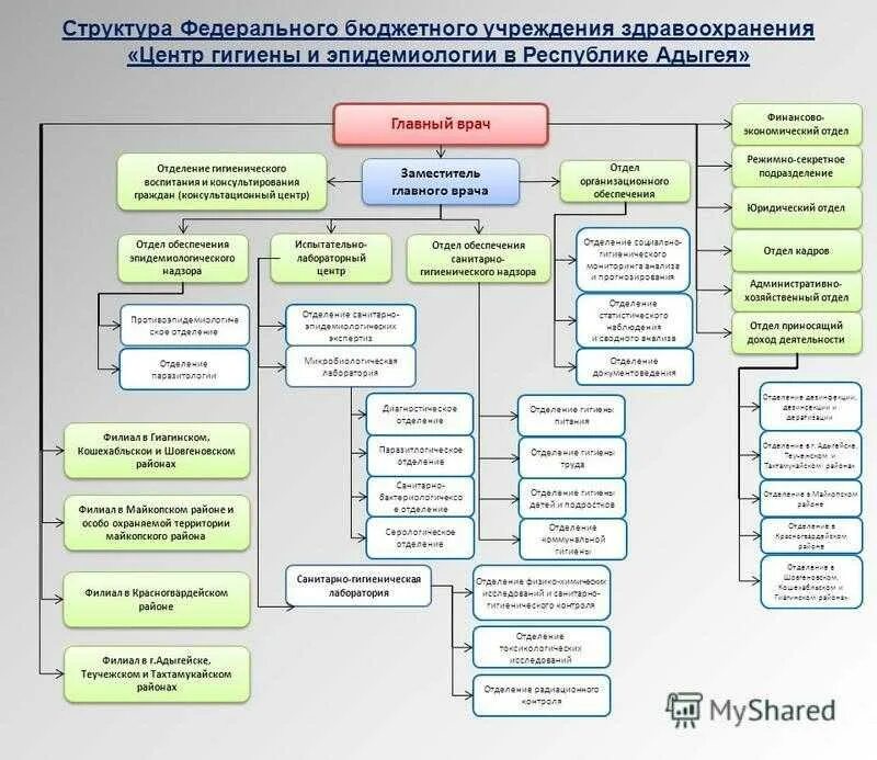 Отчет учреждения здравоохранения. Структура центра гигиены и эпидемиологии направление деятельности. ФГУЗ «центр гигиены и эпидемиологии в субъектах РФ» структура. ФБУЗ центр гигиены структура. Структура центра эпидемиологии.