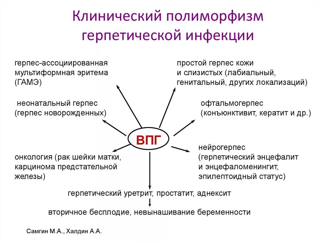 Клиническая классификация герпесвирусных инфекций. Герпетическая инфекция. Клиническая классификация классификация герпетической инфекции. Герпетическая инфекция эпидемиология.