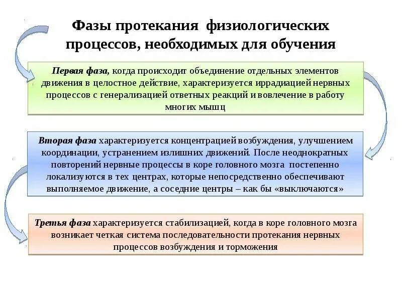 Протекание процессов обеспечивает. Фаза протекания нервных процессов. фазы формирования двигательного навыка. образование двигательного навыка происходит по трём фазам. стадии протекания социального процесса.