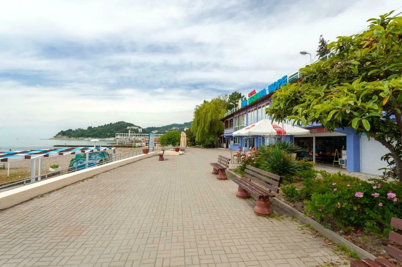 Нирвана хоста. Нирвана гостевой дом в хосте. Гостевой дом нирвана хоста. Нирвана хоста. Нирвана гостевой дом в хосте.