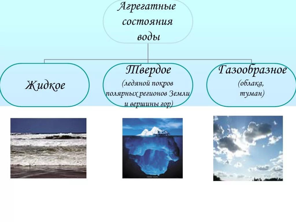 Вода значение 5 класс. Свойтсваводы в природе. Свойства и значение воды. Свойства воды в природе. Вода в разных состояниях.