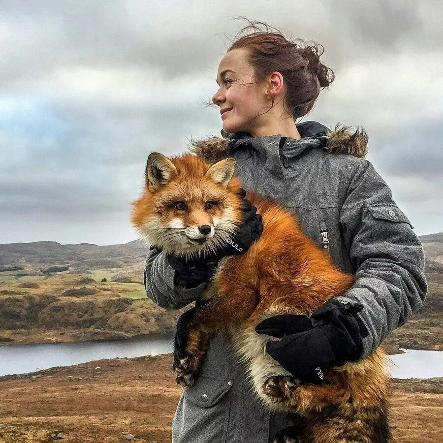 Интересные фотографии. Лиса путешествует. Очень интересные фото. Интересные фотографии из жизни.