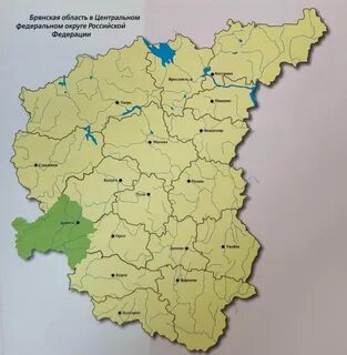 Показать брянскую карту