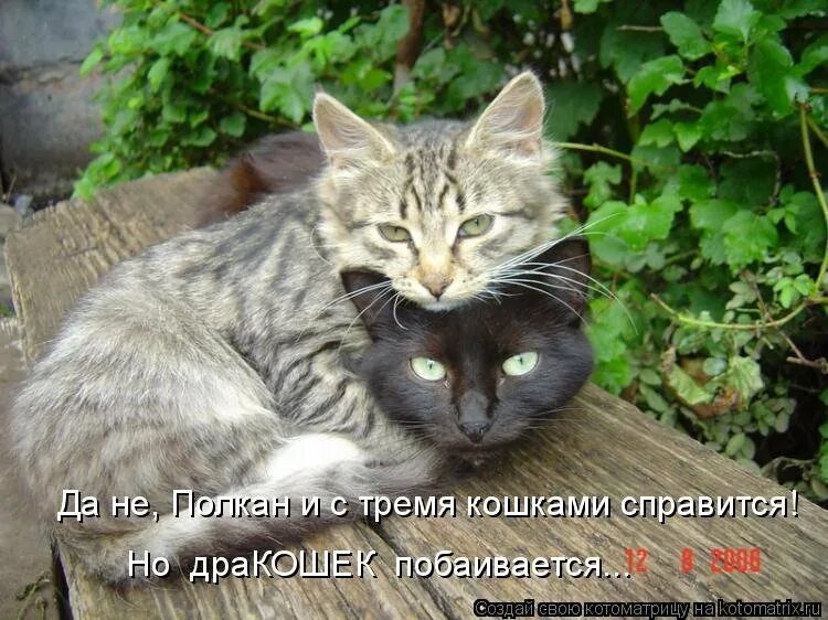 Ты с хорошей головой
