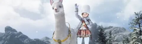 Шау шай