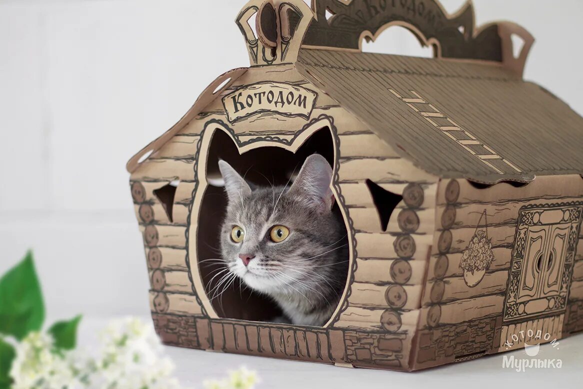 Котодом. Котодом домики для кошек. котодом мурлыка балашиха. домик для мурлыки из коробки.