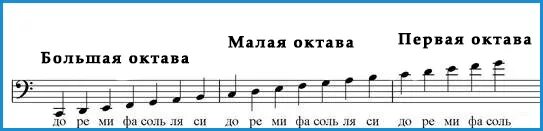 Ноты подписанные басовые. Басовый ключ малая Октава. Ноты большой октавы в басовом Ключе. Басовый ключ пианино малая Октава. Ноты басового ключа расположение малая Октава.