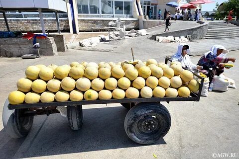 Машина дыня