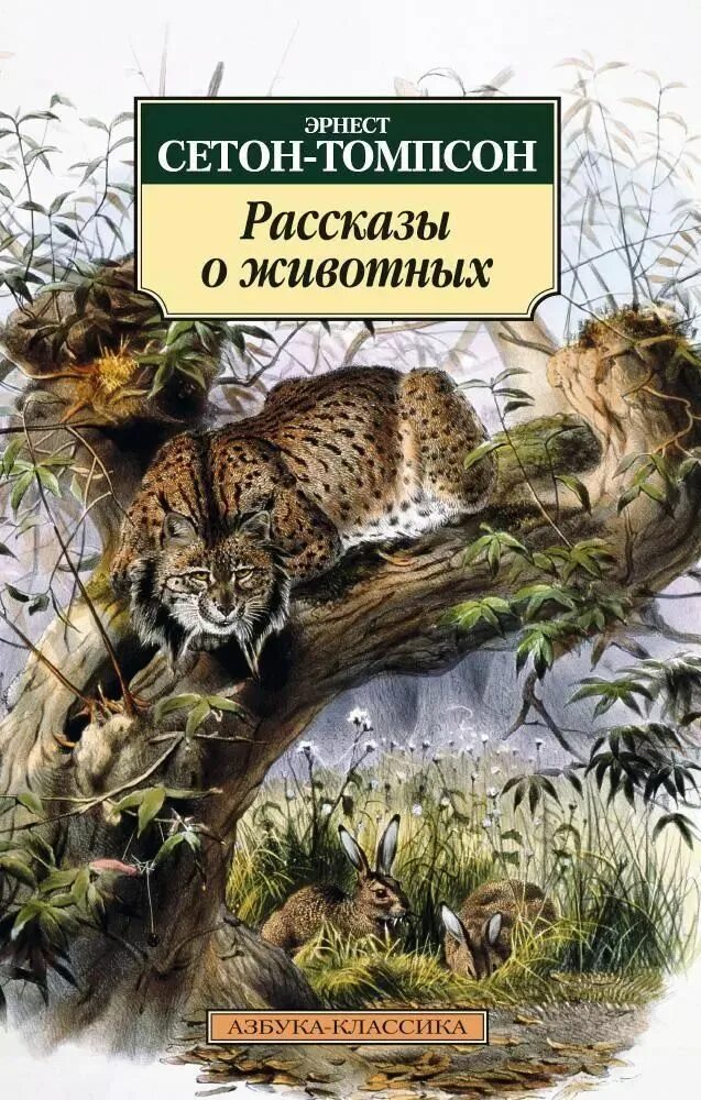 Природа рассказы про животных. Книга рассказы о животных сетон томпсон. томпсон книги о животных.