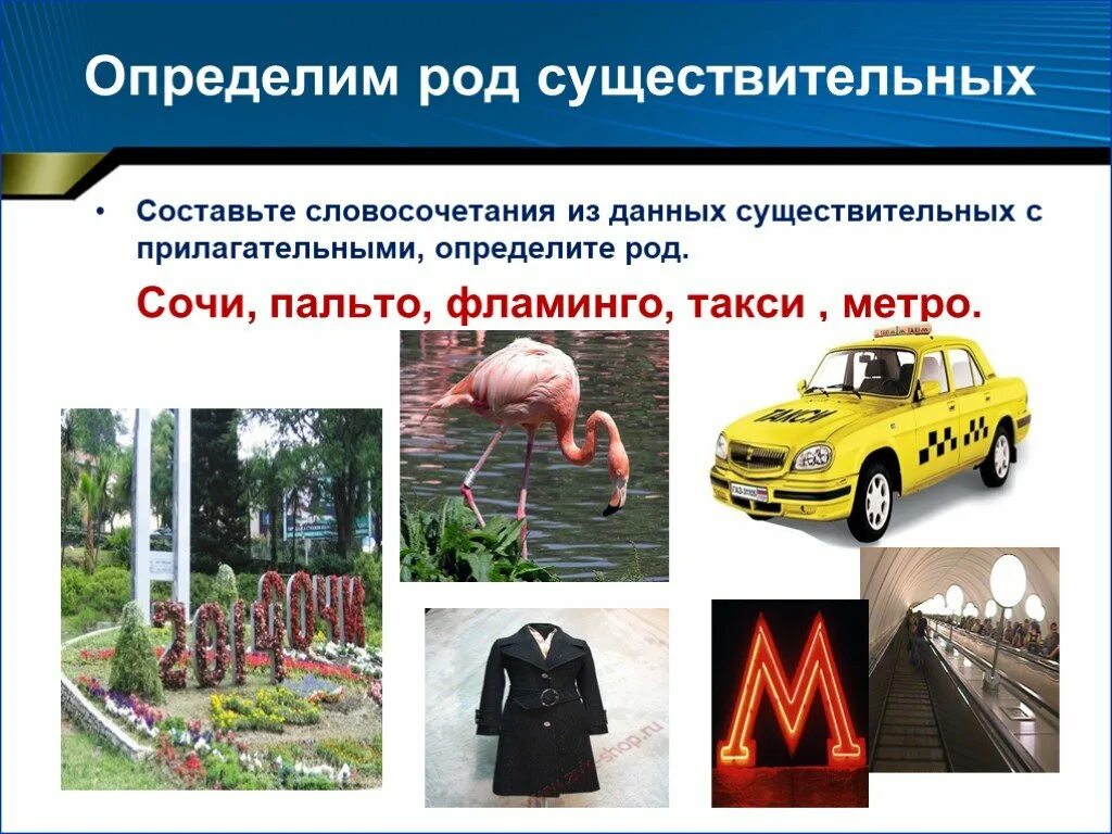 Такси какой род существительного. Род слова такси в русском языке. Такси определить род. Род несклоняемых имен существительных. Какого рода слово кенгуру в русском языке.