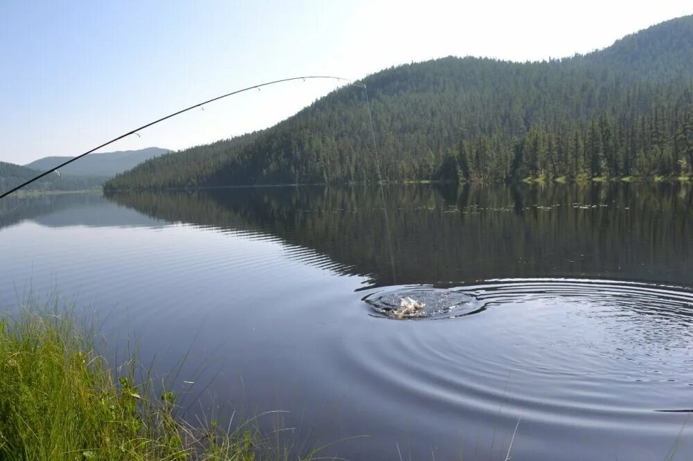 Алтайское озеро рыбалка. Телецкое озеро Алтай рыбалка. Семиозерье озеро. Рыбы Телецкого озера. Озеро Казгалы.