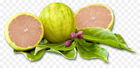 Pink lemon