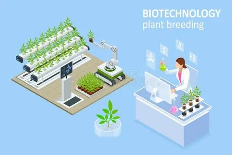 Plant breeding
