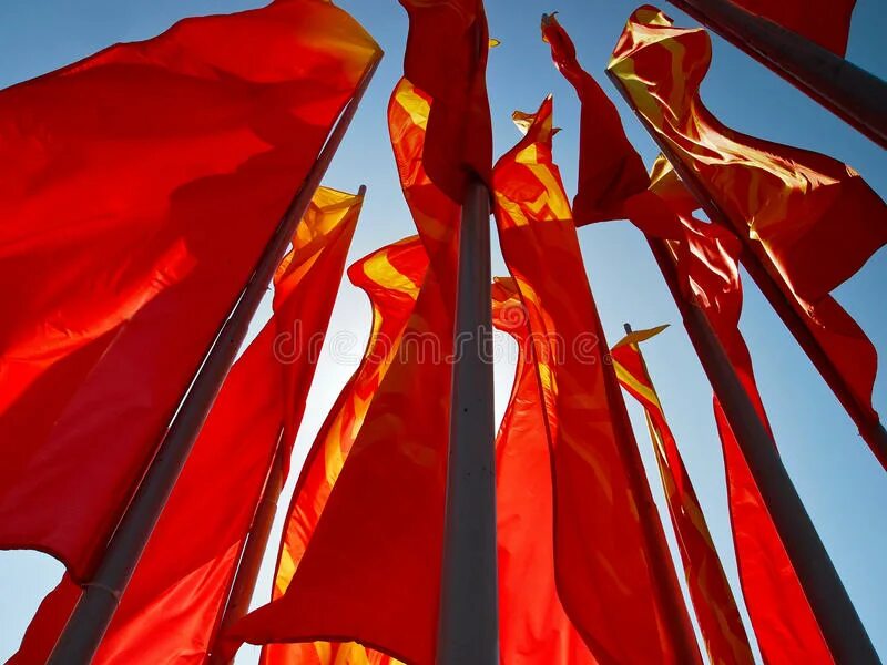 Red flags кавер