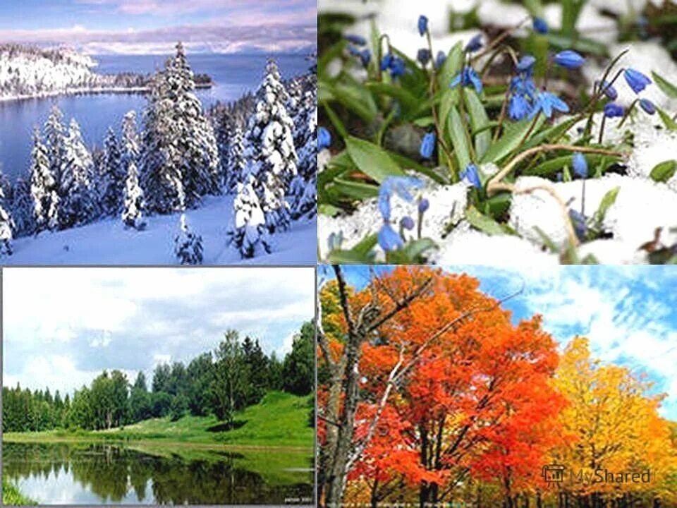 Ссылки на времена года. Поры года. Зима,Весна,лето,осень. Изображение времена года. Природа по временам года.