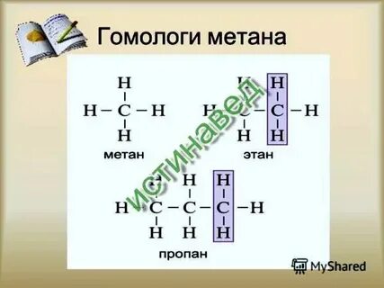 Пентан гексан октан