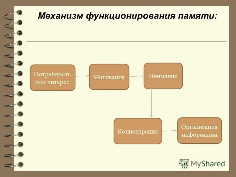 Механизм функционирования памяти. Механизм функционирования мир.