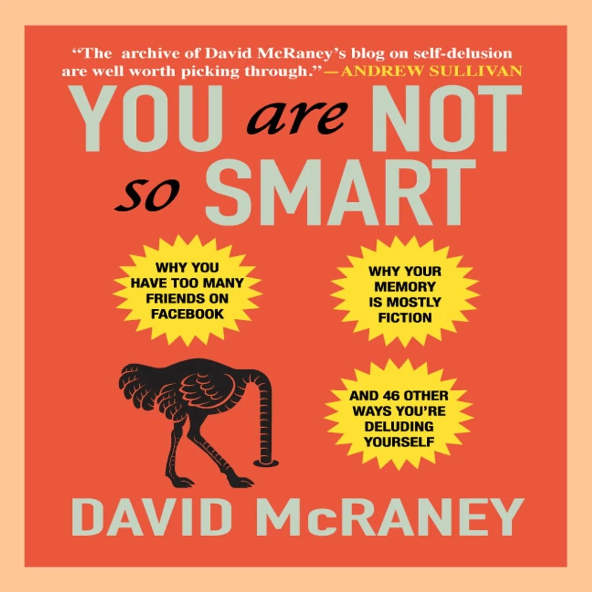 David is so smart he is never. You are not so smart david mcraney на русском. davi smart. smart audiobook. why you so smart.