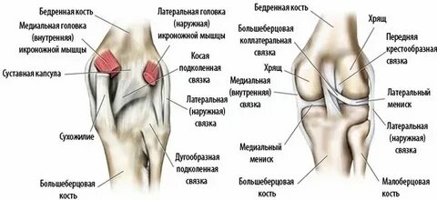Сильная боль в левом колене