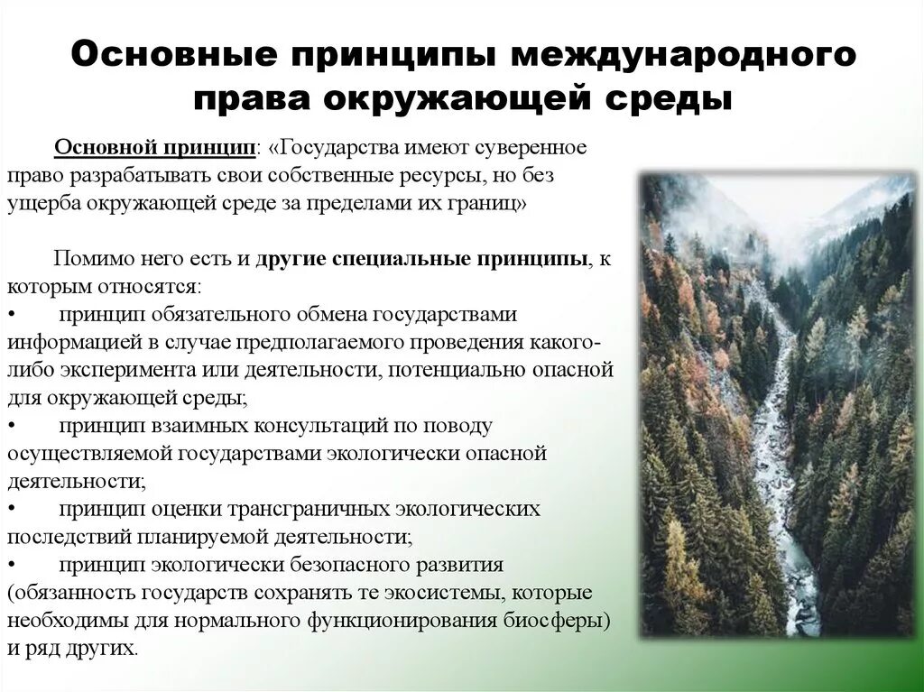 Международные принципы охраны окружающей среды. Схема международно-правовые принципы охраны окружающей среды. Международные принципы охраны природы..