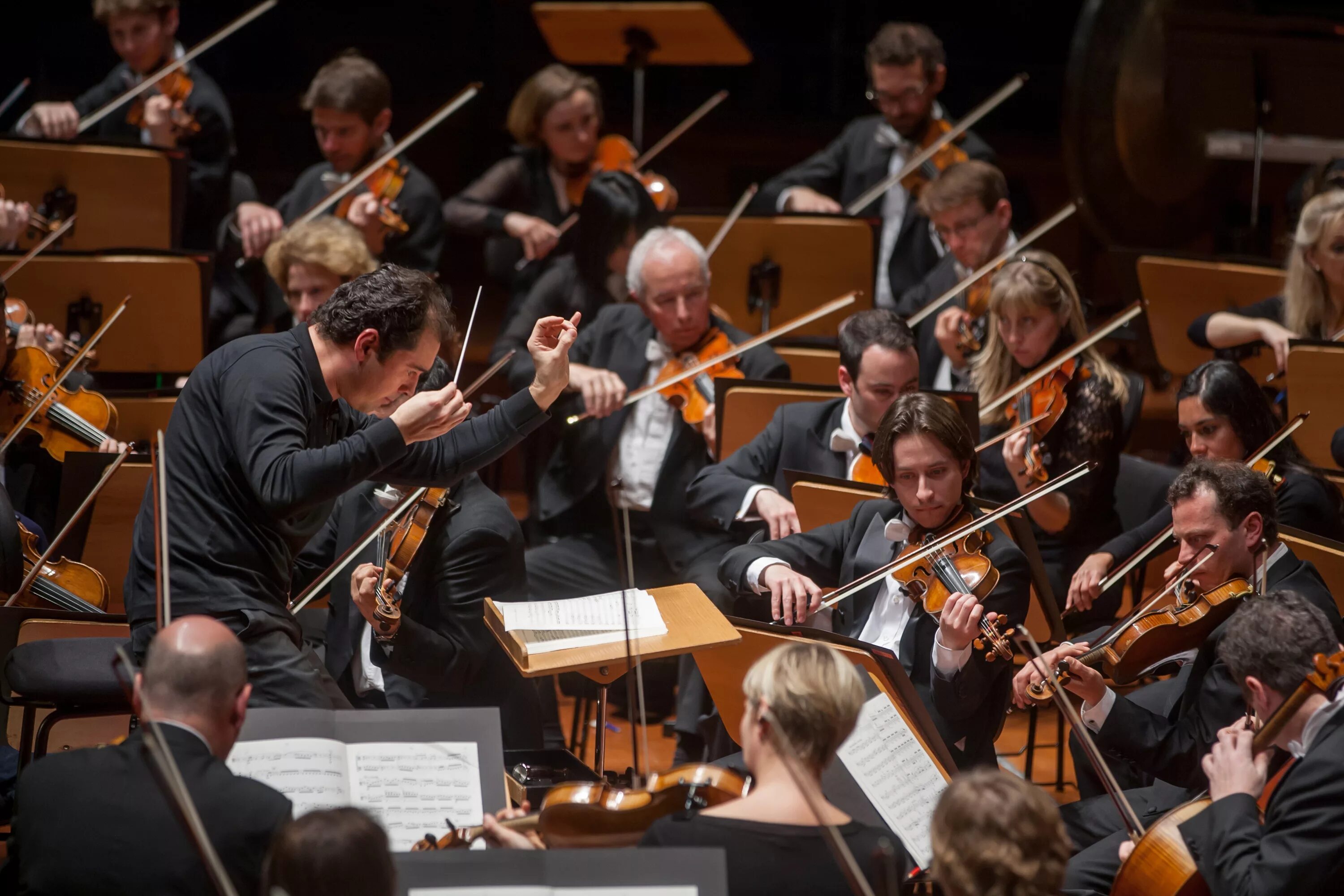 Orchestra. Симфонический оркестр большого театра. Оркестр Капитолия Тулузы музыканты. Оркестр большого театра Афонин. Созвучия Франции оркестр.