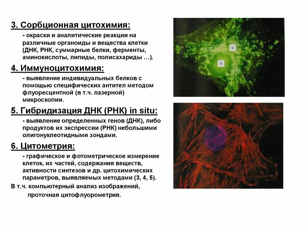Методы цитологии в биологии. Методы исследования в биологии егэ. Методы цитологии егэ биология. Основные методы изучения клетки таблица. Методы цитологических исследований таблица.