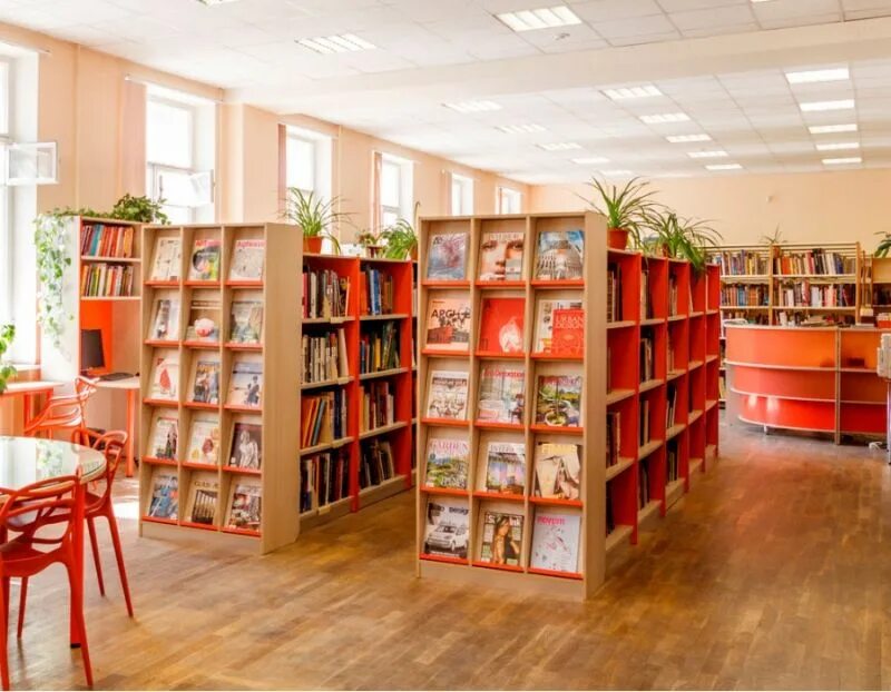 Какая библиотека лучше. Библиотека Курбатова Псков. Мебель для школьной библиотеки. Стеллажи в читальном зале библиотеки. Стеллажи для читального зала библиотеки.
