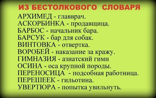 Значение слова куролесить в словаре русского языка. Бестолковый словарь. Бестолковый словарь русского языка. Бестолковый словарь словарь. Самый бестолковый словарь.