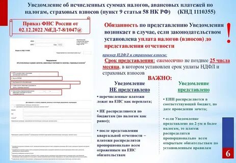 Налоговый счет это простыми словами