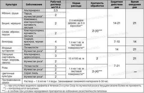 Топаз время обработки
