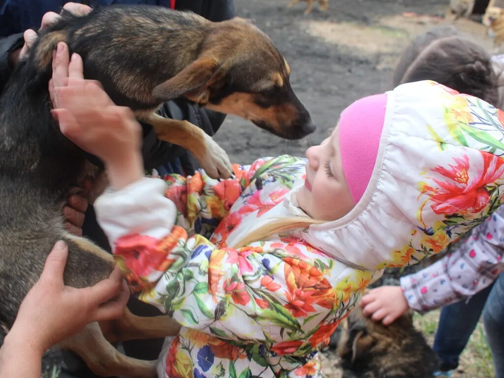 Вк приют доброе сердце пермь. Волонтёрчество приют доброе сердце в перми гайва. Приют доброе сердце южно сахалинск. Приют доброе сердце южно сахалинск. Приют доброе сердце южно сахалинск.