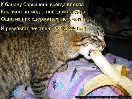 Если нету жизни личной значит