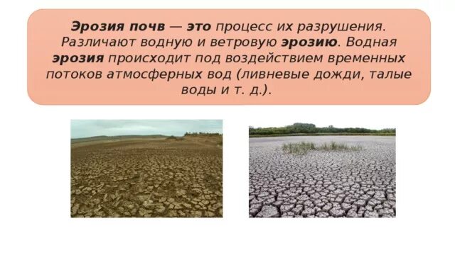 Борьба с эрозией почв. Плоскостная водная эрозия. Защита почвы от водной эрозии. Плоскостная эрозия почв. Факторы эрозии.