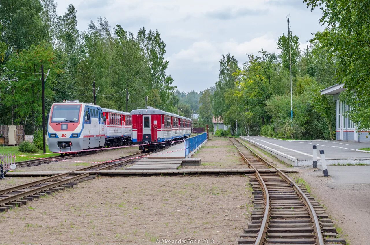 малая царскосельская октябрьская детская железная дорога. малая октябрьская детская железная дорога купчино. детский дорога спб. малая октябрьская железная дорога в санкт-петербурге. малая октябрьская джд.