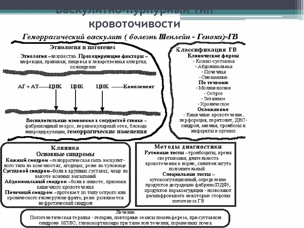 Синдромы при геморрагическом васкулите. Васкулит шенлейн геноха классификация. клинические синдромы геморрагического васкулита. геморрагический васкулит патогенез схема. болезнь шенлейна геноха патогенез.