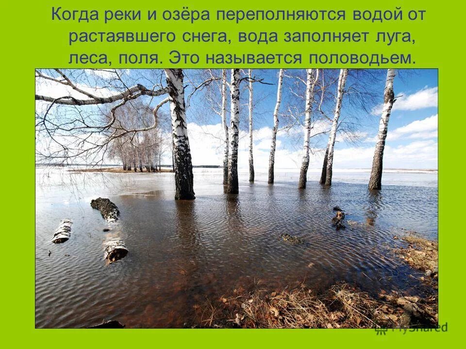 Если речка голубая пробудилась ото сна. Стих про половодье. Весеннее половодье это определение. Стихотворение о весне есенин. Дымом половодье зализало ил желтые поводья месяц уронил.