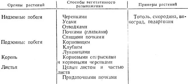 Заполнить таблицу вегетативное размножение. Таблица вегетативное размножение растений 6.