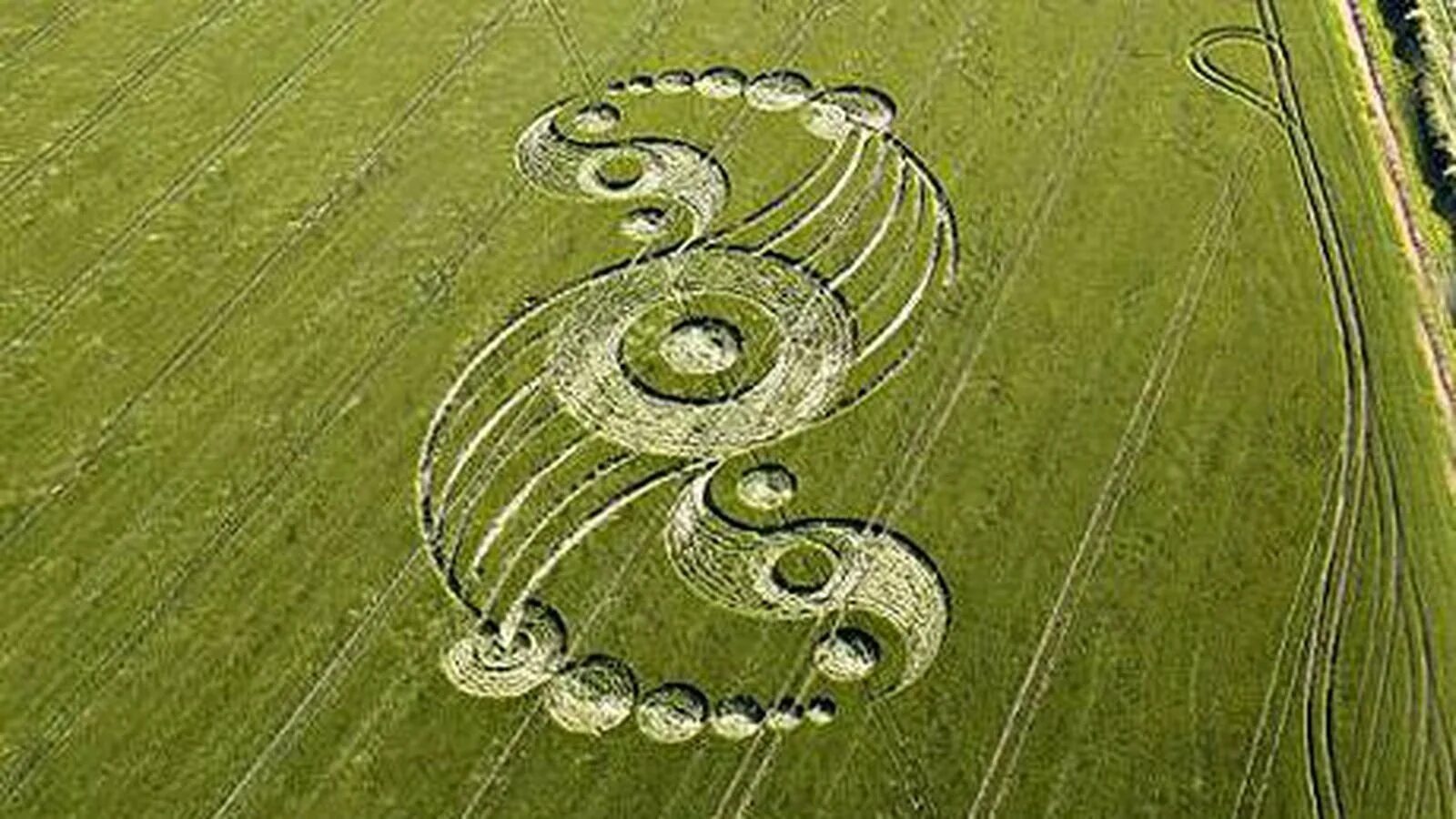 Рисунки на полях нло в россии. Поле с буквами. Узоры на полях. Знаки на полях англии. Круги на полях.