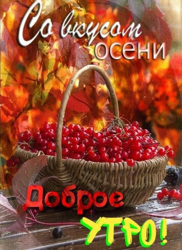 Сдобрым осеннним утрос.. Открытки с добрым утром осенние. С добрым осенним утромэ. С доьрымосеннним утром.