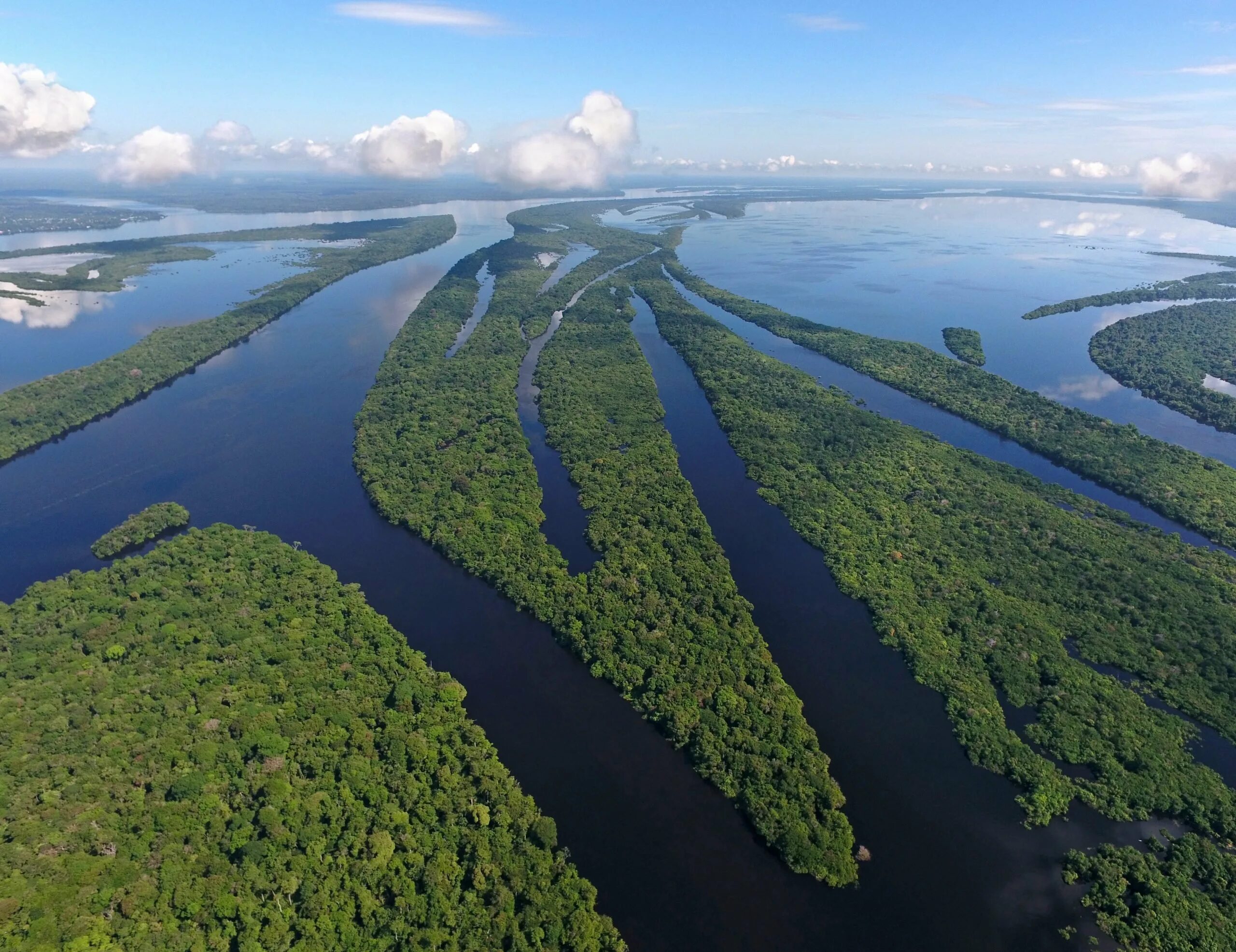 Река Амазонка в Бразилии. Бразилия Амазонская низменность. Река Амазонка и Рио Негро. Река Амазонка фото. Самая большая река в бразилии